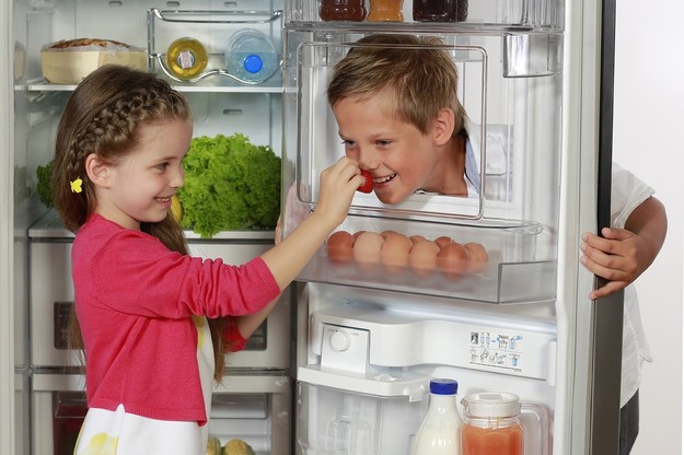 Những nguyên nhân tủ lạnh không đóng được cửa